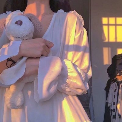 怪侠一枝梅粤语